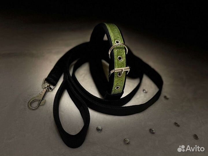 Ошейник и поводок для собак