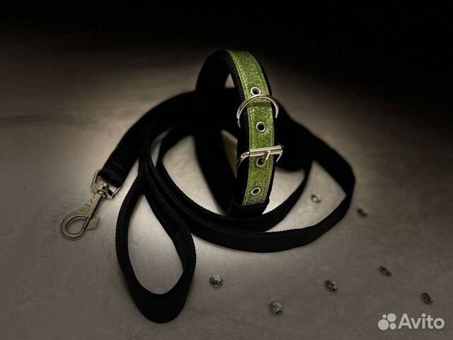 Ошейник и поводок для собак