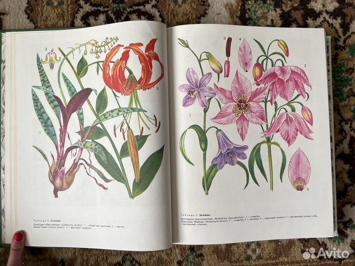 Жизнь растений. Энциклопедия в 6 томах