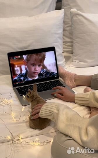 Мини Кролики Ручные Контактные из Питомника