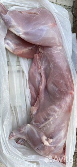 Продам мясо Кролика