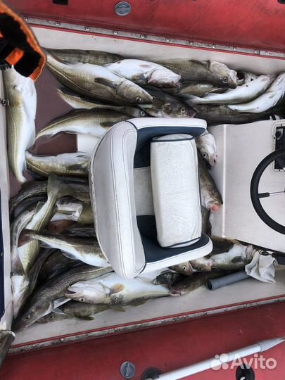 Рыбалка в Баренцевом море вТериберке