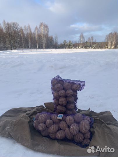 Продукты питания