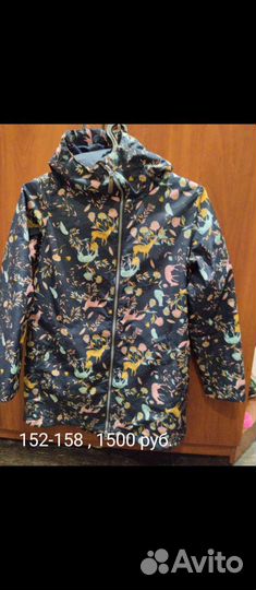 Одежда и обувь