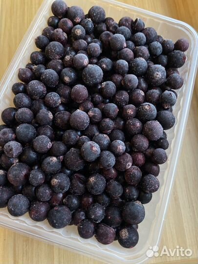 Черная смородина ягода