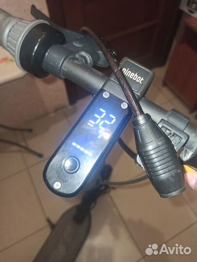 Самокат ninebot max g30p