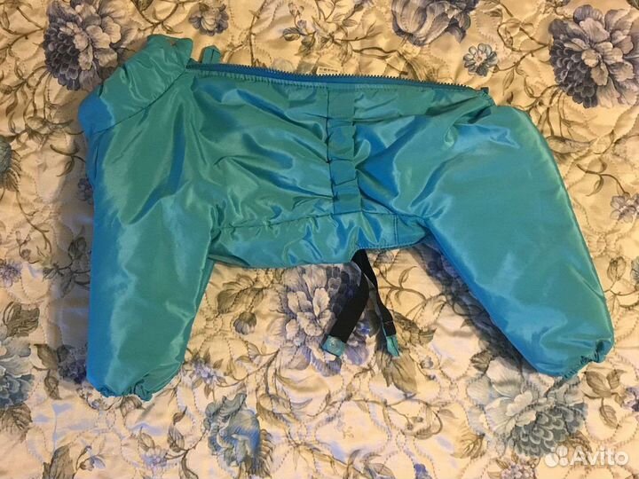 Одежда для собак