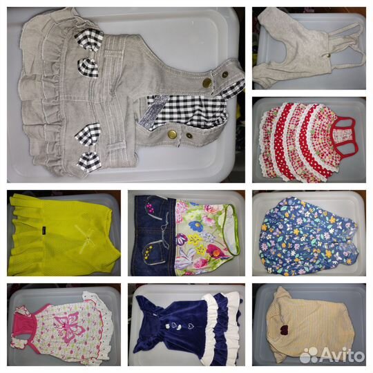 Одежда для собак мелких пород