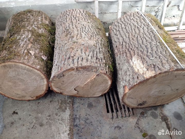 Колода дубовая