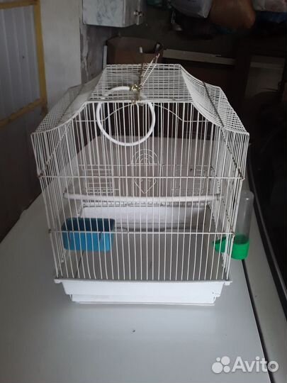 Клетка для попугая бу