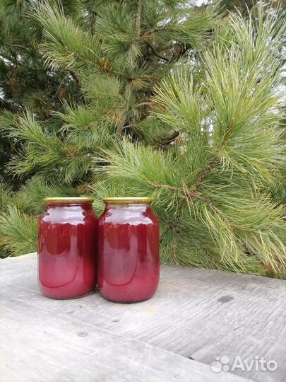 Брусника. Брусничный морс и сок