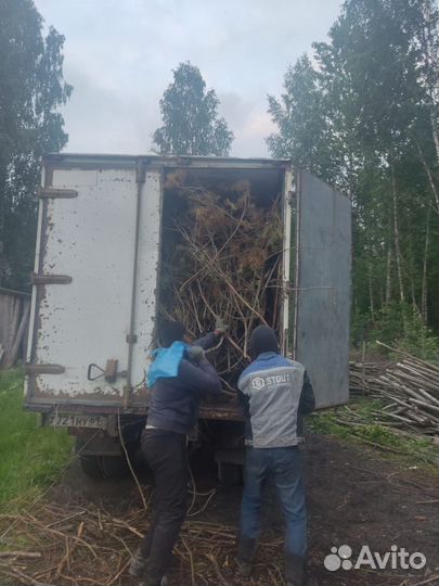 Вывоз мусора