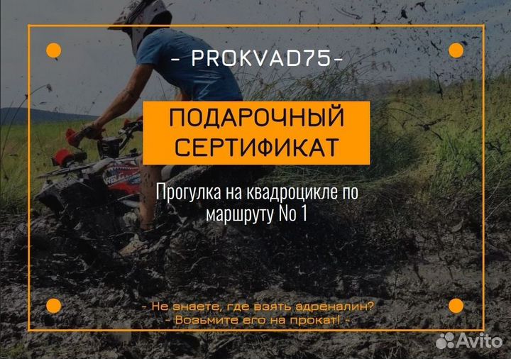 Графический дизайнер/ логотип/ сертификат/ визитка