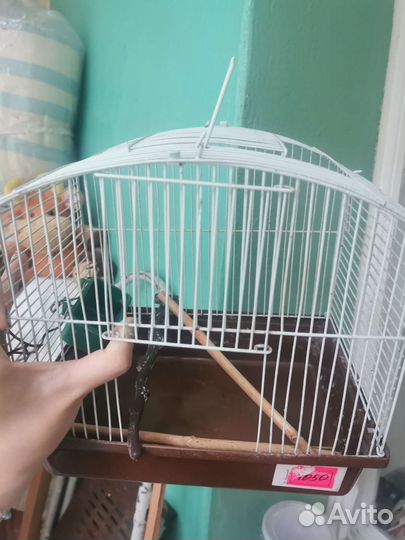 Клетка для птиц