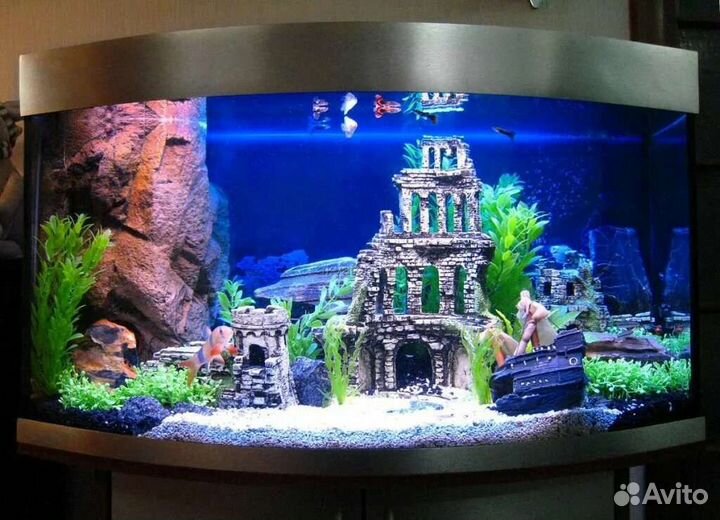 Аквариум