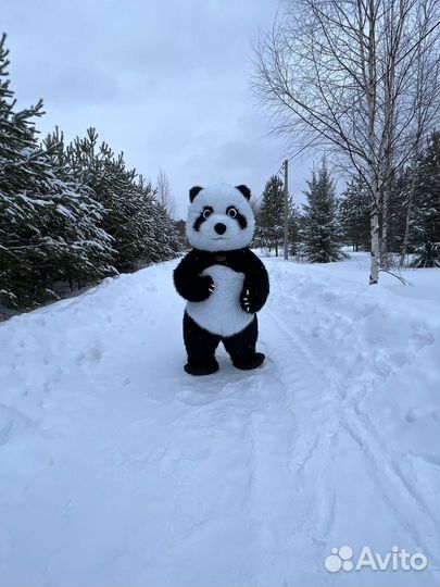 Ростовой костюм панды в наличии