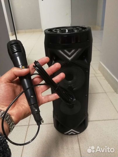 Мощная большая портативная колонка для отдыха
