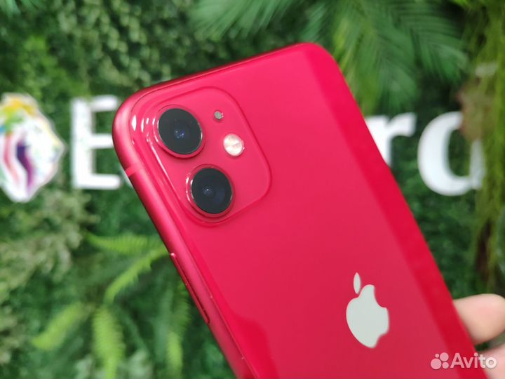 iPhone 11 256Gb