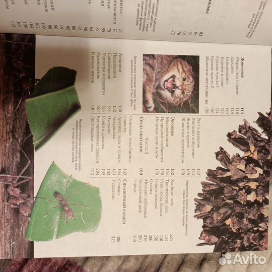 Энциклопедия живой природы махаон