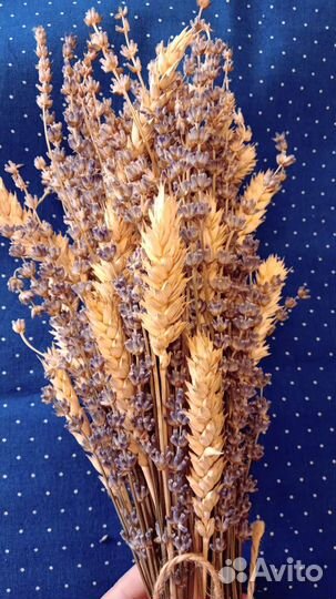 Букет лаванды. Букет в интерьер. Сухоцвет