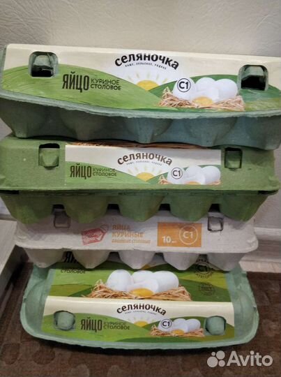 Контейнер для хранения яиц