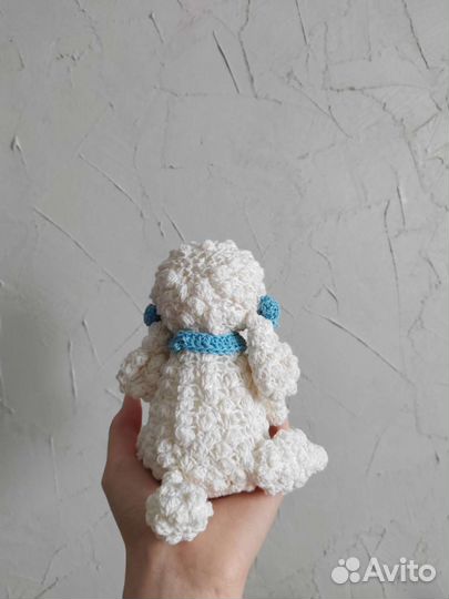 Собачка пудель крючком щенок