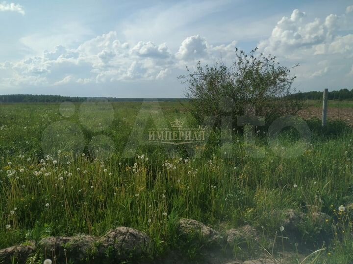 Участок 18 сот. (ИЖС)