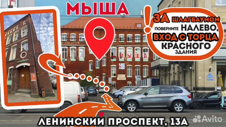 Процессоры