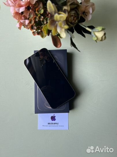 iPhone 12 Pro Max, 128 ГБ