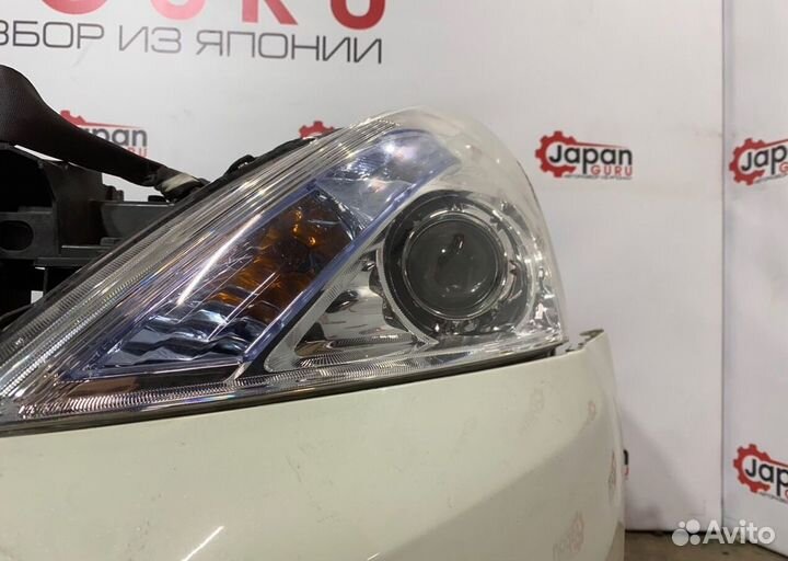 Ноускат (nose cut) Nissan Teana J32 VQ25 2008