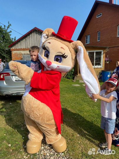 Экспресс поздравление