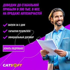 Продам бизнес под ключ. 300к + месяц доход