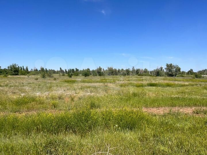 Участок 20 сот. (ИЖС)