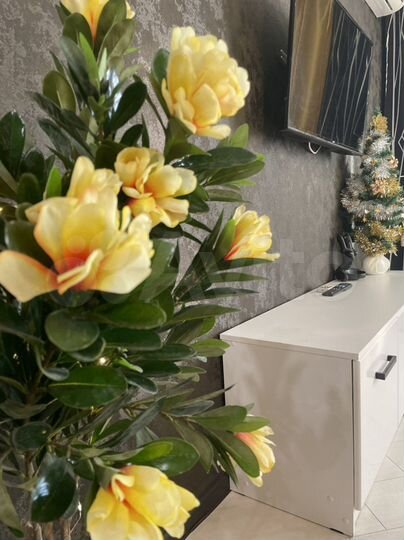 Квартира-студия, 40 м², 7/18 эт.