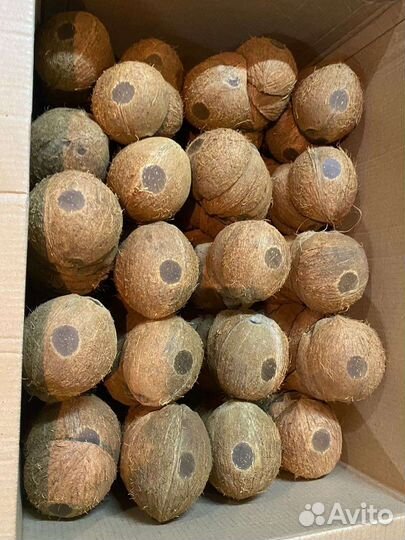 Кокосовая скорлупа