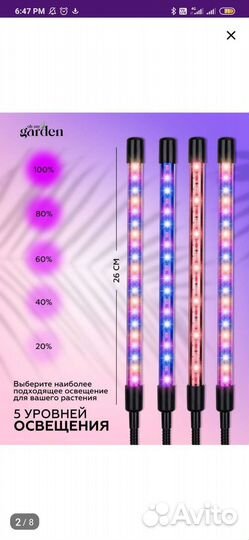 Фитолампа для растений