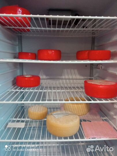 Молочные продукты