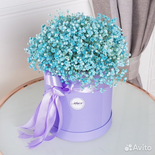 Цветы гипсофила