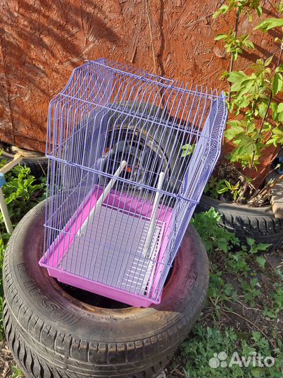 Клетка для грызунов или попугаев