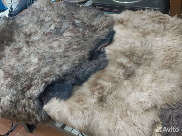 Мех цигейка и собачий