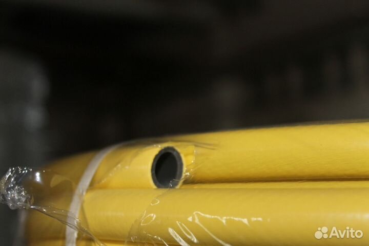 Семяпровод