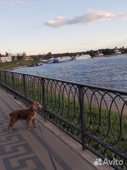 Кабель на вязку