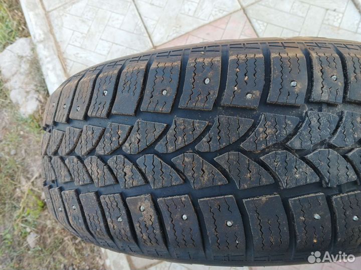 Tigar Sigura Stud 205/55 R16 94T