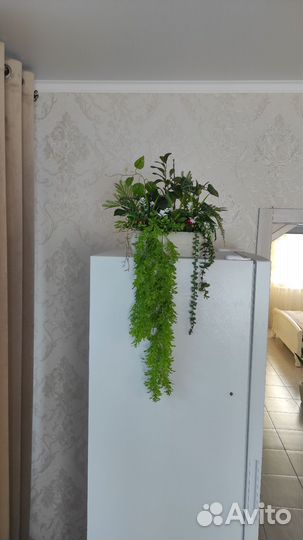 Интерьерные ампельные композиции,зелень