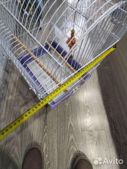 Клетка для попугая