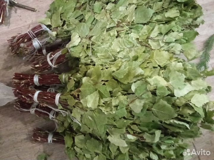 Банный веник: пихта и береза