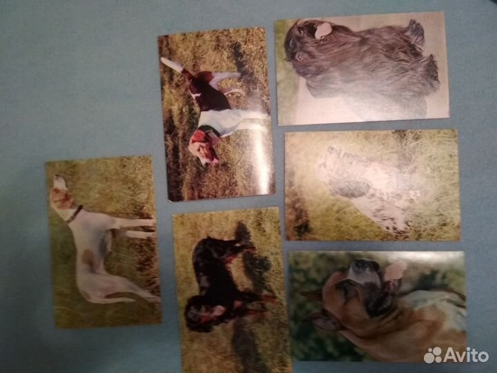 Почтовые открытки 