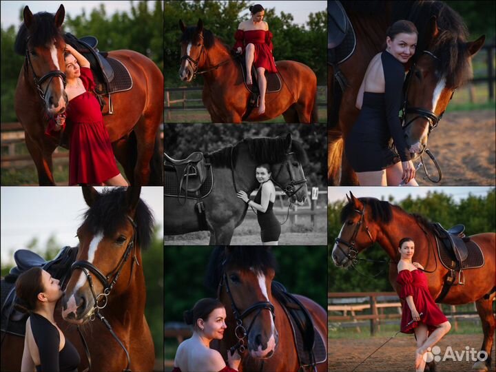 Фотосессии с лошадьми конный фотограф