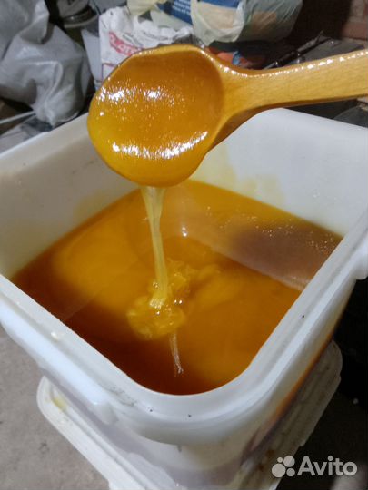 Мед натуральный цена за 3 х литровую банку