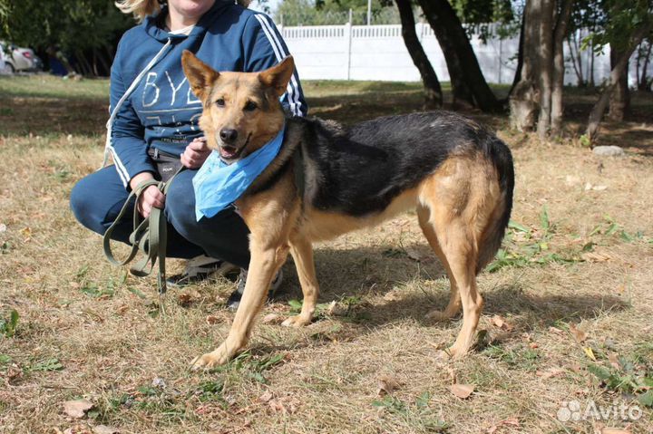 С надеждой ждёт маму